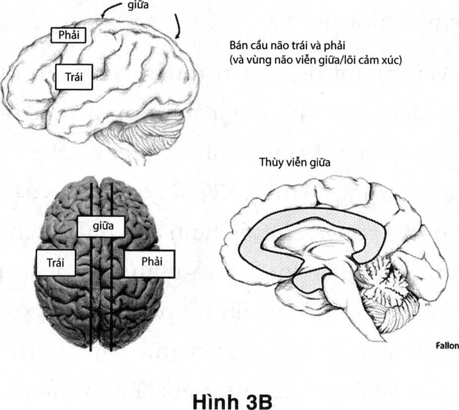 Thái Nhân Cách - Phía Sau Tội Ác