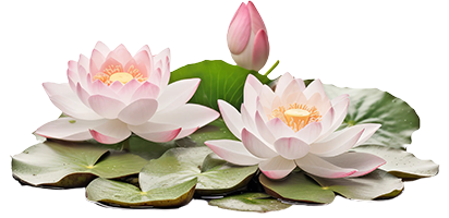Thiền Là Một Nhành Hoa