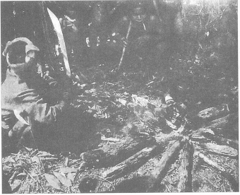 Chúng Tôi Ăn Rừng